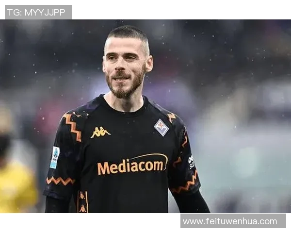 德赫亚职业生涯起伏与辉煌守门艺术全面解析